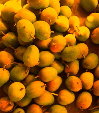 Colorful bunches of ripening yellow mango fruit stock photosの写真素材