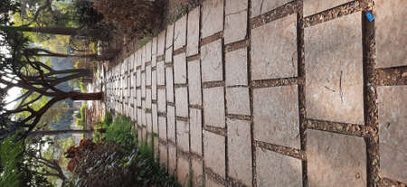 a garden was design by square tiles concrete and grass and treesの写真素材