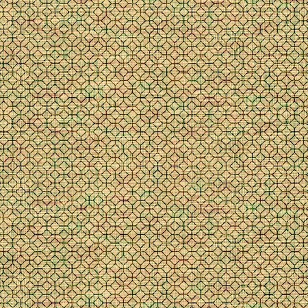 Seamless vector pattern with hand drawn zigzag stripes.の写真素材