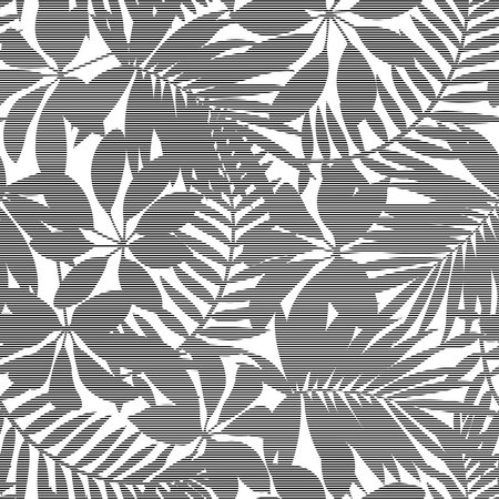 Black and white striped tropical leaves seamless pattern.の写真素材