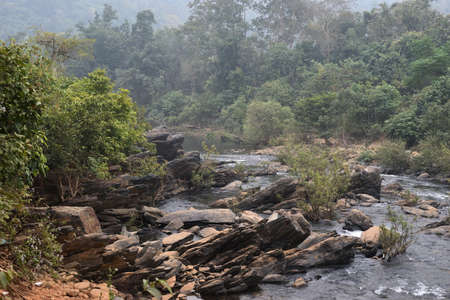 little river under the forestの写真素材
