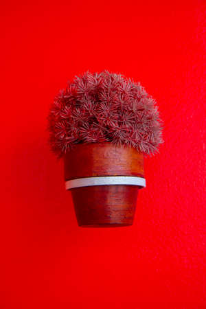 red grass in flowerpot on the red background