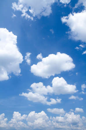 sky and cloud in the sunny day