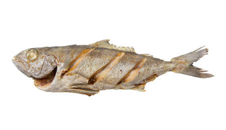fried fish isolated in white backgroundの写真素材