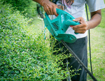A man trimming hedge with trimmer machineの写真素材