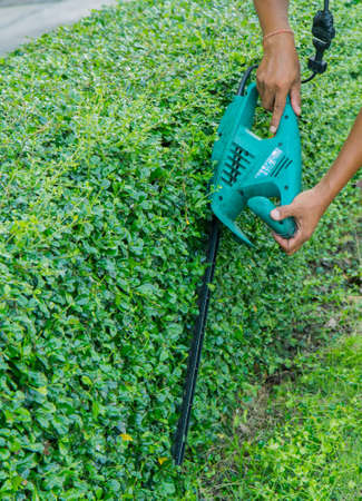 A man trimming hedge with trimmer machine