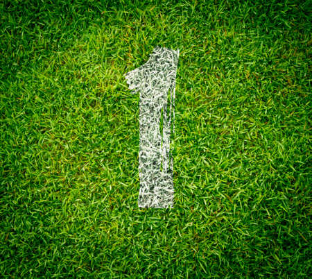 number collection - 1 on green grass seamless textureの写真素材
