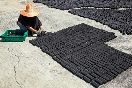 women put charcoal pack bar made from coconut shell on the floor dry in the sunの写真素材