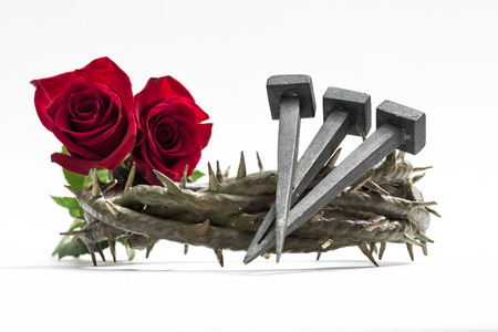 Jesus Christ crown of thorns, nails and two roses on a white background.の写真素材