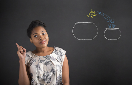South African or African American black woman teacher or student with a good idea or answer with fish bowls standing against a chalk blackboard background insideの写真素材
