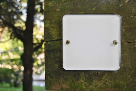 Acrilic with white background fixed on wood in forest area