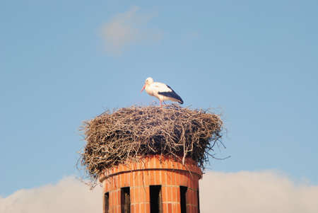 A stork in the nest on top of a factories chimneyの写真素材