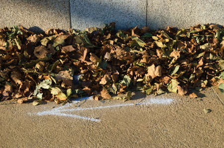 Autumn in the direction of the arrow - Dry leaves and a painted arrow