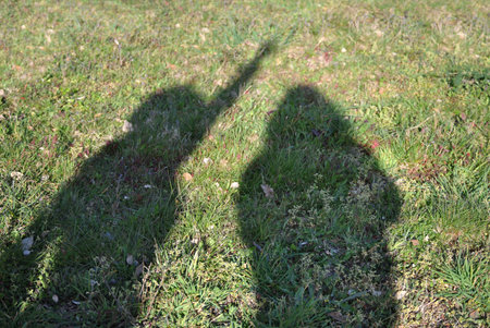 Shadow on the ground of two people with field herbs, silhouettesの写真素材