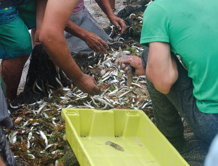 Trawling, fishing activity in Portugalの写真素材