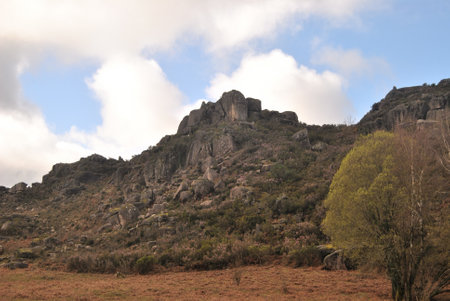 Cloudy sky, hills mountain landscape with trees, a peacfull natural spaceの写真素材