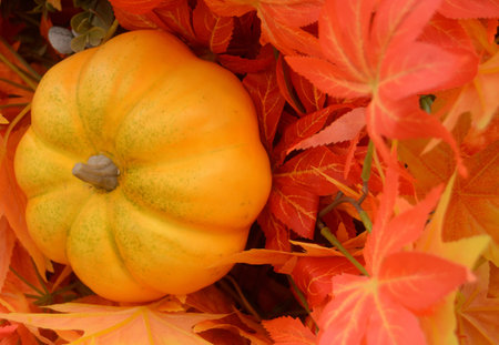 pumpkin with autumn leaves as a background, closeup of photo
