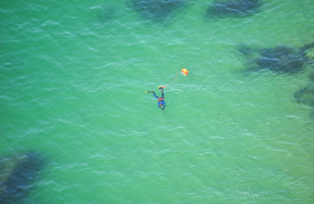 Snorkeling in the sea with a mask and fins.の写真素材
