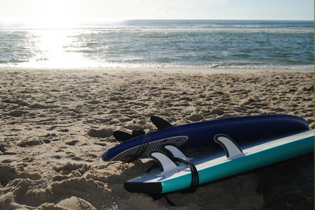 Surfboard lying on the sand at the beach in the morningの写真素材