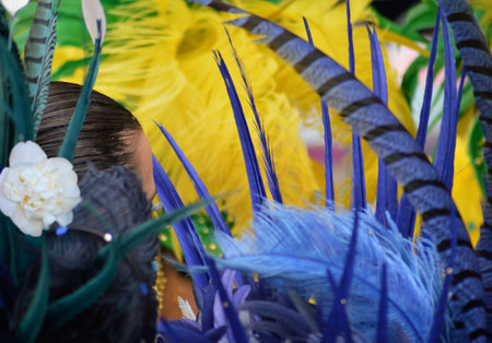 The Carnival background of colorful feathers with a small part of a ballerina's head in the middle