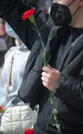 Carnation in the hands of a person