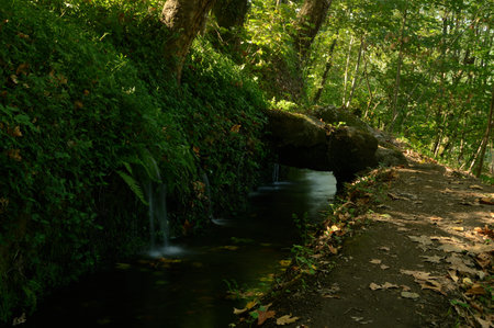 Water taken with small waterfalls in the forest, photo as a background, digital image, Felgueiras,...