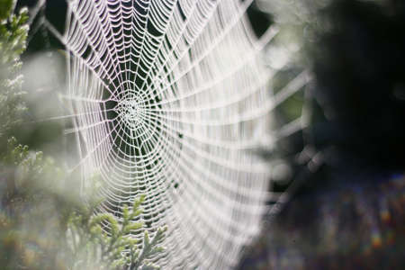 webの写真素材