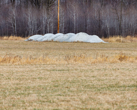 Piles of agricultural lime (crushed limestone) ready to be spread on the field to neutralize soil acidity and promote healthy plant growth. Selective focus, background blur and foreground blur.の写真素材