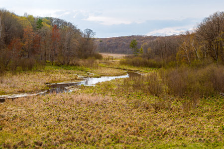 Straight River at the Tunnel Channel Woods near the Ice Age Trail in Polk County, WI during springの写真素材