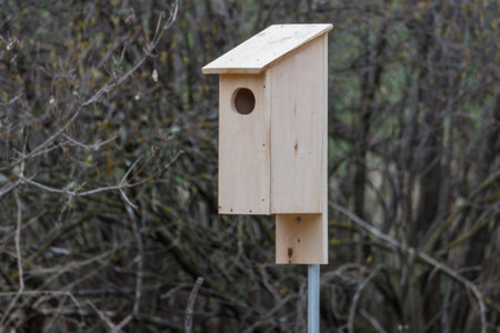 Handmade Wood Duck (Aix sponsa) nesting box set up in woodlands near water. Selective focus,...