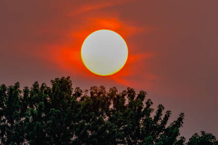 Setting sun with red clouds over the tree tops during summer.の写真素材