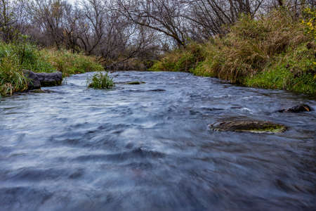 Low angle view of water flowing down a trout stream during autumn with rocks, grass and trees.