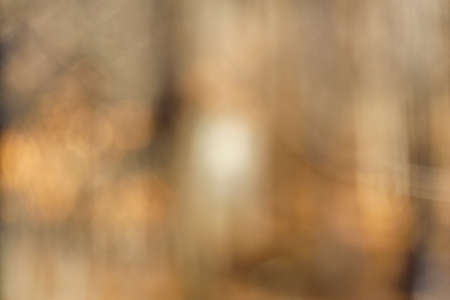 Blurred abstract background, natural woodlands browns, blacks, tans and grays in color.の写真素材