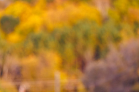 Blurred abstract background with colors of natural woodlands during autumn.の写真素材