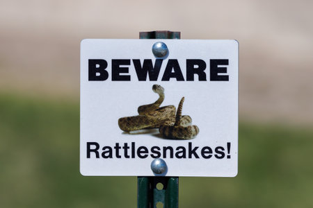 Beware of Rattlesnakes sign in the Badlands National Park during spring.の写真素材