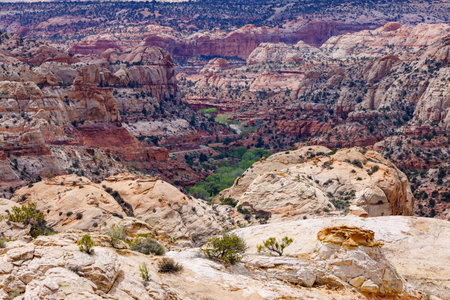 Scenic landscape view on scenic highway 12 in Utah. Selective focus, background blur and foreground blur.の写真素材