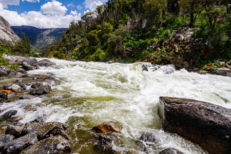 Raging Merced River from snow melt at Arch Rock Entrance in Yosemite National Park in spring of 2023の写真素材