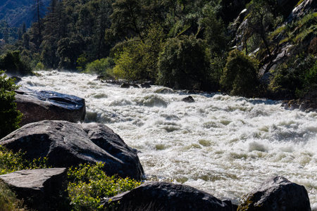 Raging Merced River from snow melt at Arch Rock Entrance in Yosemite National Park in spring of 2023の写真素材