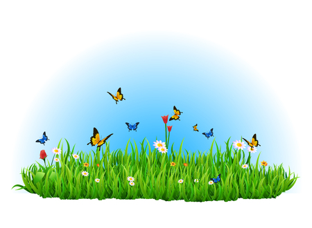 Summer green meadow for your design with butterflyのイラスト素材