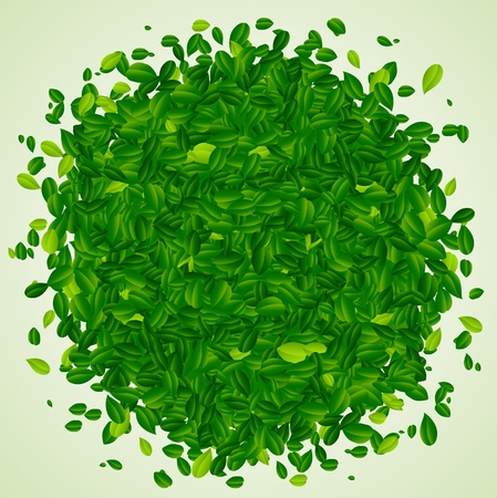 illustration Backdrop with green leavesのイラスト素材