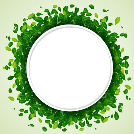 illustration Backdrop with green leavesのイラスト素材