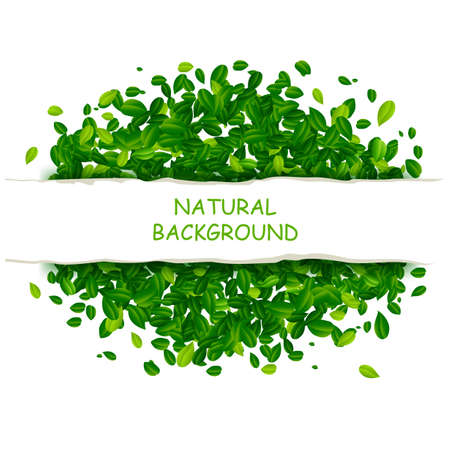 Backdrop with green leavesのイラスト素材