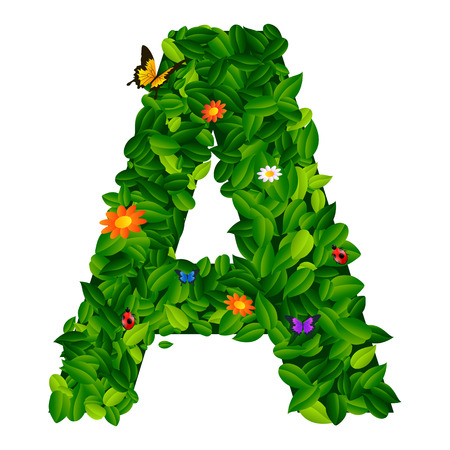 capital letter A from leaf on white backgroundのイラスト素材