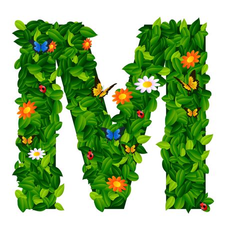 capital letter M from leaf on white backgroundのイラスト素材