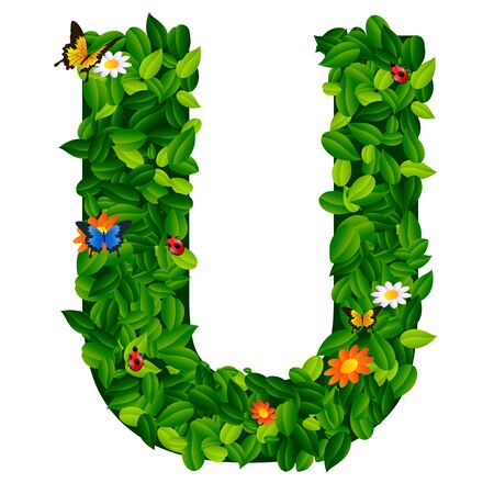 capital letter U from leaf on white backgroundのイラスト素材