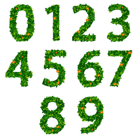 Number symbol of green fresh leaf isolated on a whiteのイラスト素材