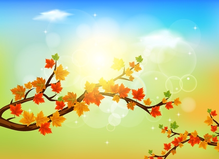 Branch With Autumn Maple Leaves And Sunshineのイラスト素材