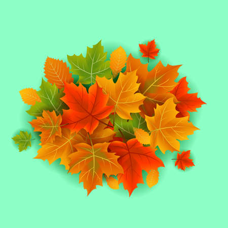 Colorful autumn leaves of green backgroundのイラスト素材