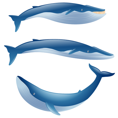 set of cartoon blue whales show on whiteのイラスト素材