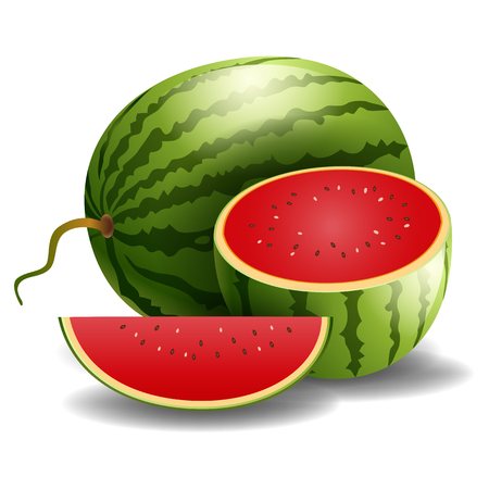 watermelon ripe juicy illustration isolated on white backgroundのイラスト素材